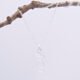 Sterling Silver Cocktail Charm Pendant Necklace shown hanging from twig