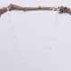 Sterling Silver Heart Link Chain Necklace with spring clasp, shown hanging from twig