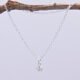 Cubic Zirconia Bezel-set stone on Sterling Silver Chain, image shows necklace hanging from twig